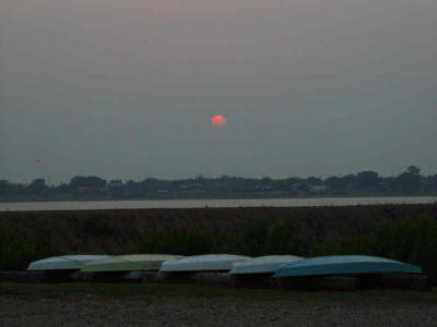 Sailboats bedding down for the night.