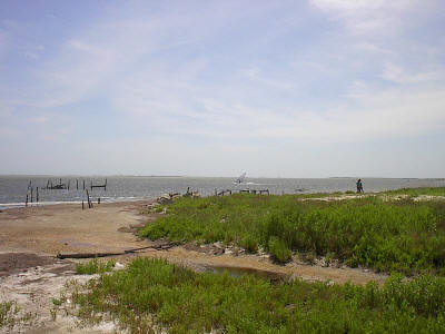 Screaming windsurfer near shore.