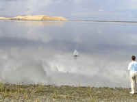 Debbie throws a rock into the glassy water