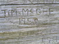Tim J. McGee, 1953, you set quite the example.  There are now about 1000 other names carved in this poor tree.