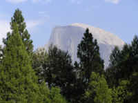 Half Dome looms above, in respectful, soft focus.