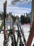 192 cm skis looming over the others.