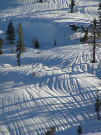 These are frozen rain gullies, not powder tracks.  AVOID!  
