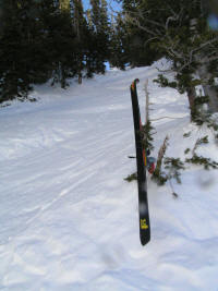 Top of Alf's High Rustler proved too tough to tame, as a tree reached out and grabbed one of my skis.  Damn quasi-chutes.