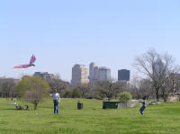 Zilker park is a kite flying paradise in the spring