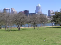 The Austin skyline and Town Lake, as seen from Auditorium Shores