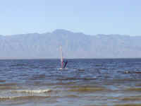 You can spot Carey from a mile off, with his perfect "7" windsurfing form.