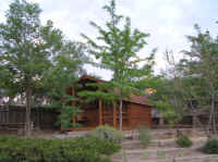 One of the little cabins that KOAs have for those unfortunates without RVs who nevertheless want to stay in an RV park.