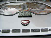 Chips and circuits join the illogical bird badge on the hood